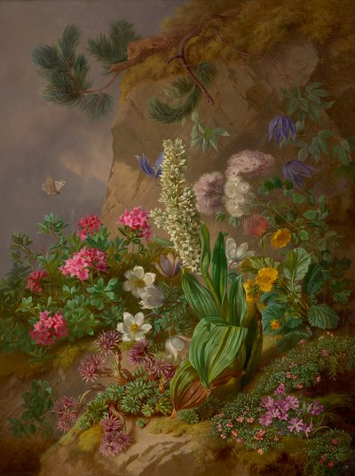 Alpine Flowers by Joseph Schuster