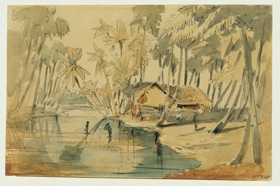 Palm Grove in Ceylon (Sri Lanka) by Joseph Selleny