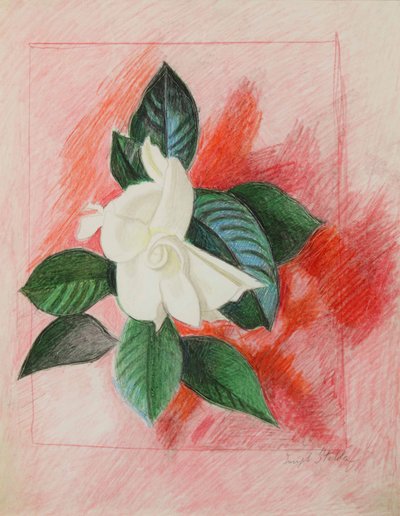 Gardenia, c.1940 by Joseph Stella