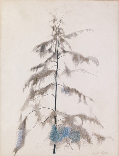 Pine Tree by Joseph Stella
