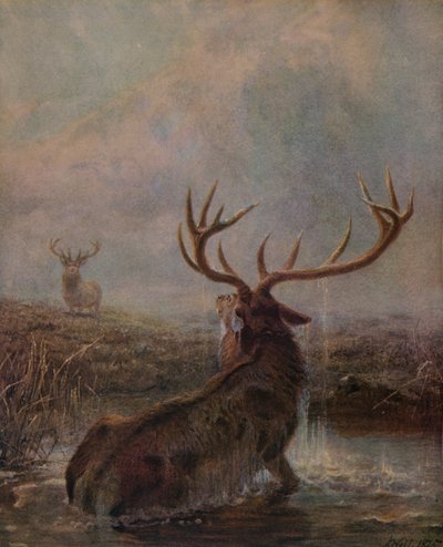 Interrupted by Joseph Wolf