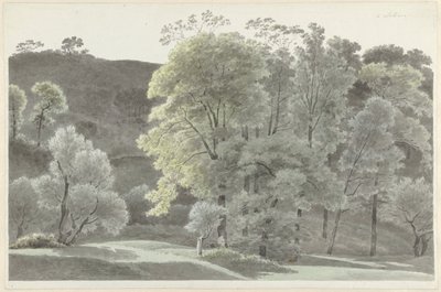 Trees in the Vicinity of Subiaco by Josephus Augustus Knip