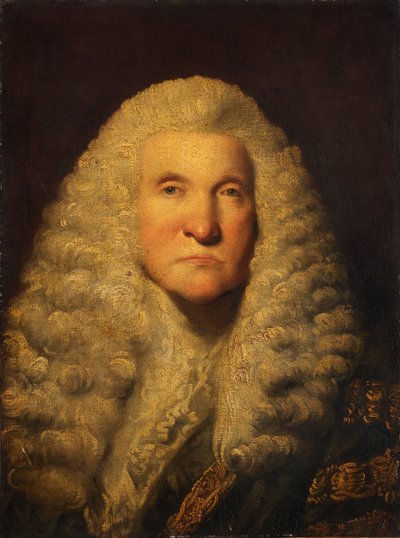 Lord Lifford by Joshua Reynolds