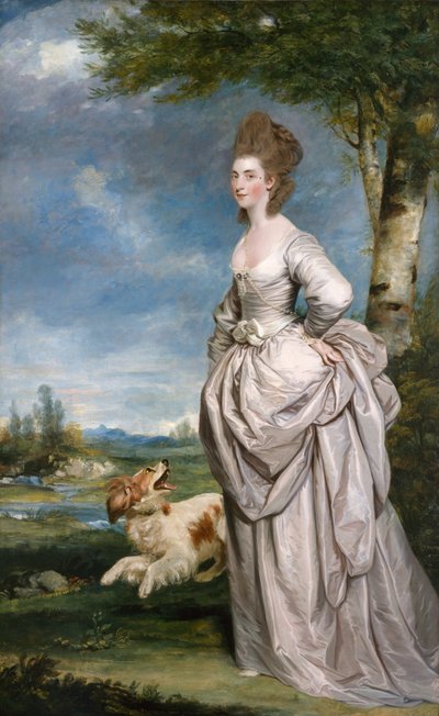 Portrait of Mrs Elisha Matthew by Joshua Reynolds