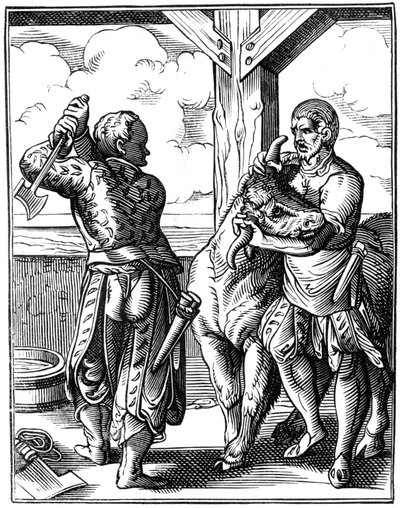 Butcher, 16th Century 1849 by Jost Amman