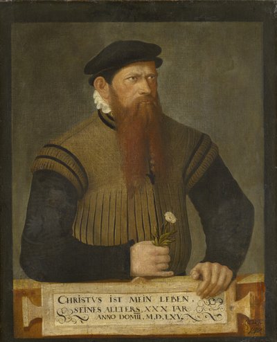 Portrait of a Bearded Man by Jost Amman