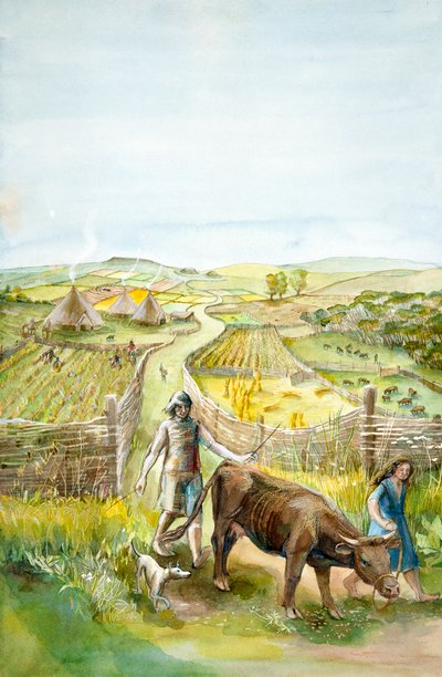 Rural Landscape by Judith Dobie
