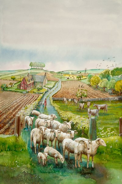 Rural Landscape by Judith Dobie