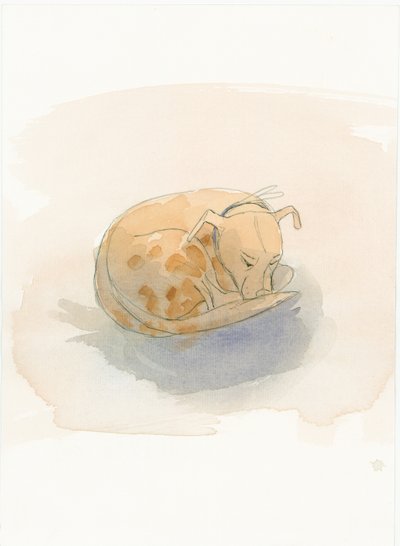 Sleeping dog by Judith Dobie