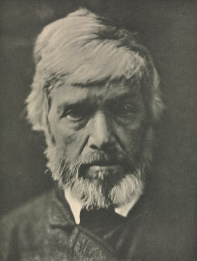 Camera Work: Carlyle by Julia Margaret Cameron