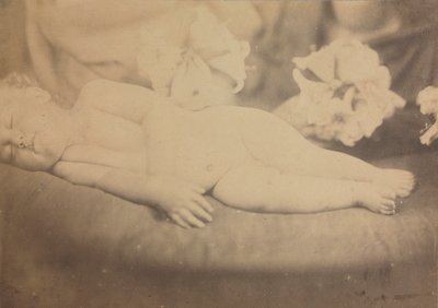 The Lily and the Lamb by Julia Margaret Cameron