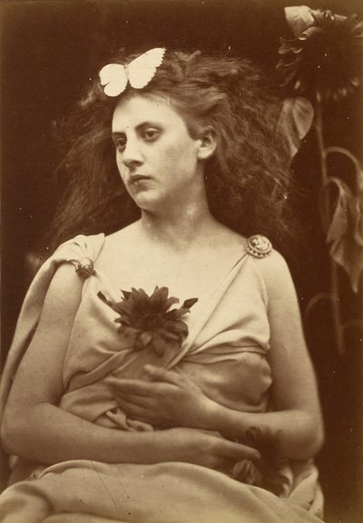 The Sunflower by Julia Margaret Cameron