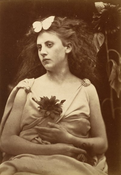 The Sunflower by Julia Margaret Cameron