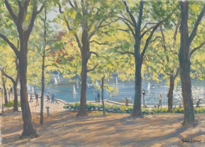 Central Park, New York by Julian Barrow