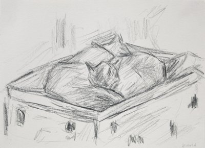 Cats Nestling by Julie Held