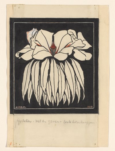 Godetia by Julie de Graag (signed by artist)