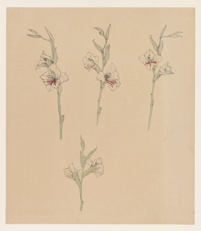 Flower Studies by Julie de Graag