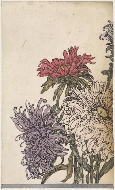 Chrysanthemums by Julie de Graag
