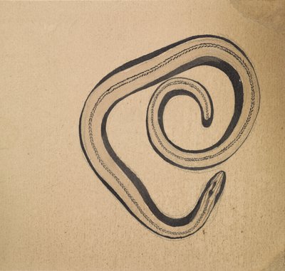 Slowworm by Julie de Graag