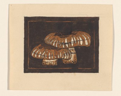 Two Mushrooms by Julie de Graag