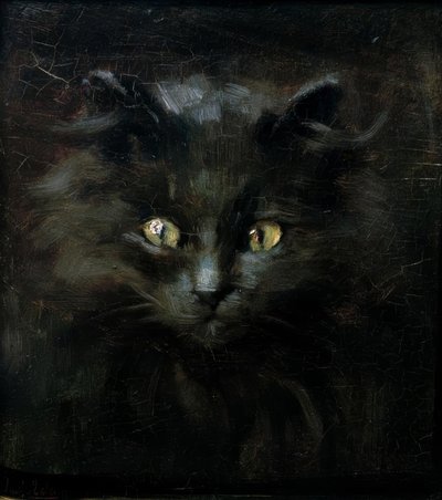 Portrait of a Cat by Julius Adam