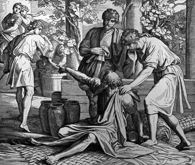 Noe History by Julius Schnorr von Carolsfeld