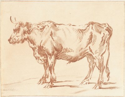 Standing Ox by Jurriaan Cootwijck