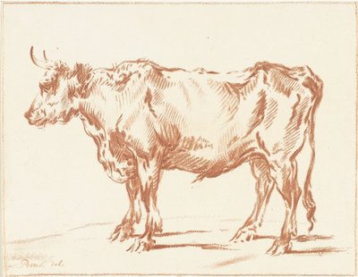 Standing Ox by Jurriaan Cootwijck