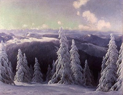Fir Trees by K. Hauptmann