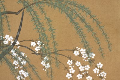 Yanagi Sakura, from Momoyo-gusa by Kamisaka Sekka