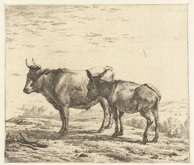 Ox and a Donkey by Karel Du Jardin