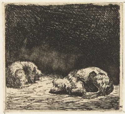 Sleeping Dog and Cat by Karel Du Jardin