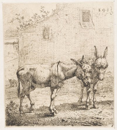 Two Donkeys by Karel Du Jardin