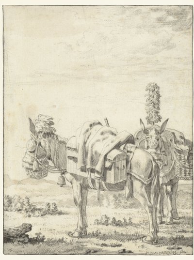 Two Mules by Karel Du Jardin