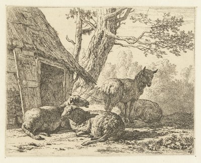 Four Sheep by Karel Du Jardin