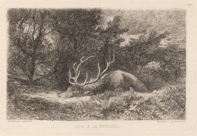 Resting Deer by Karl Bodmer