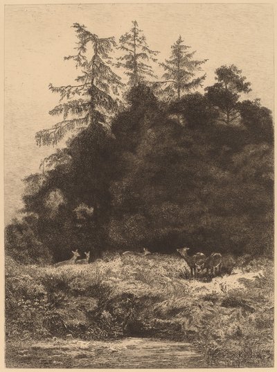 Deer in a Park by Karl Bodmer