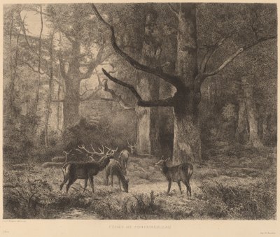 Forest of Fontainebleau by Karl Bodmer