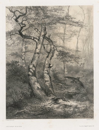 Hare Pursued by a Goshawk by Karl Bodmer