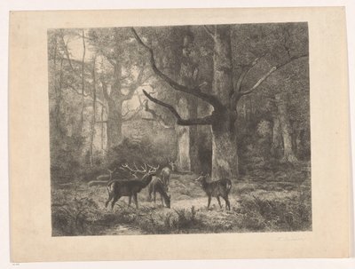 Deer in a Forest by Karl Bodmer