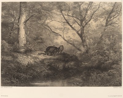 Wild Boar Piglets by Karl Bodmer