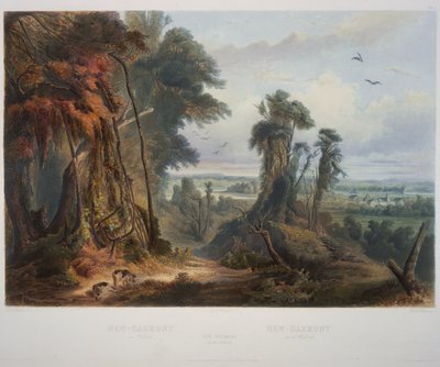 New Harmony on the Wabash by Karl Bodmer