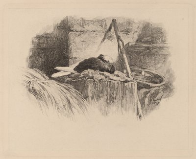 Pigeon on a Nest by Karl Bodmer