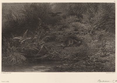 Fox in Ambush by Karl Bodmer
