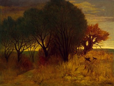 Moorland by Karl Haider