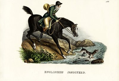 English Hunter Horse, 1824 by Karl Joseph Brodtmann