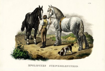 English Pit Horse, 1824 by Karl Joseph Brodtmann