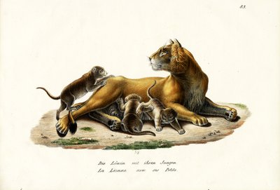 Lioness With Cubs by Karl Joseph Brodtmann