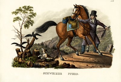 Swiss Horse by Karl Joseph Brodtmann