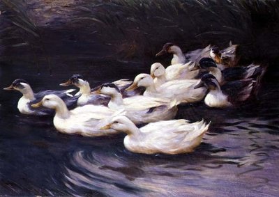 Ducks by Karl Lindner